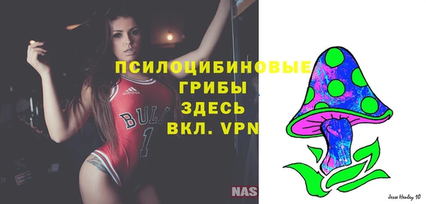герыч Богородицк