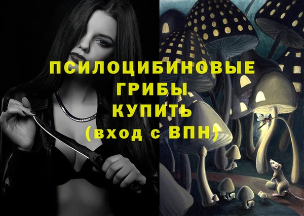 метамфетамин Богданович