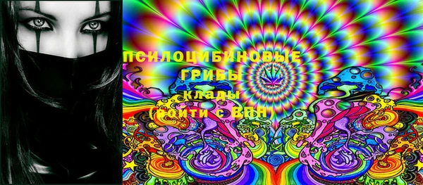 метамфетамин Богданович