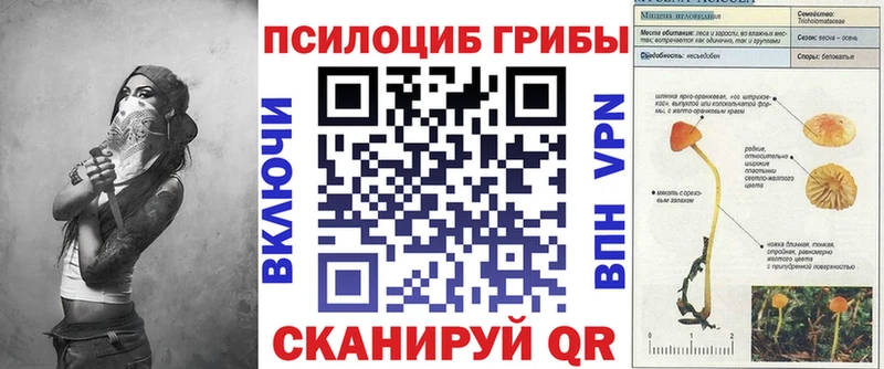 Псилоцибиновые грибы Psilocybine cubensis сайты даркнета как зайти Калининец